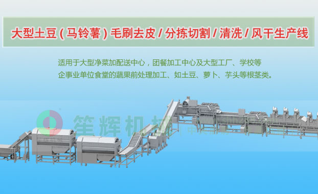 天峨连续式土豆去皮清洗切割风干生产线